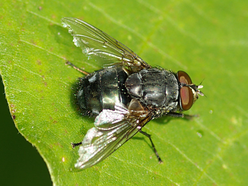 f0204094_2115339.jpg