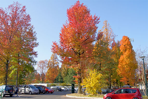 d0001300_20343622.jpg