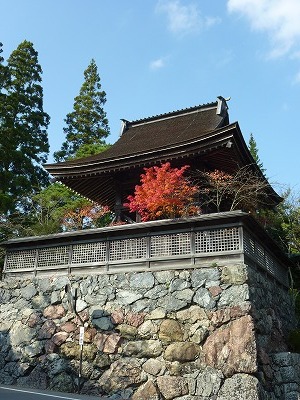 e0039100_2245161.jpg