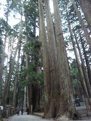 e0039100_2246038.jpg