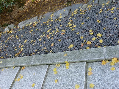 e0039100_225007.jpg