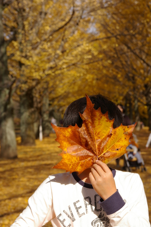 Autumn　Color≪黄色≫_a0168001_9183541.jpg