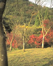 c0164401_2101498.jpg