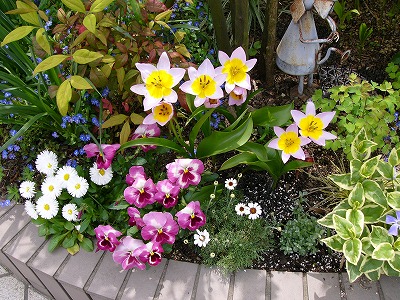a0123003_0195870.jpg
