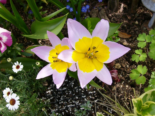 a0123003_0203951.jpg