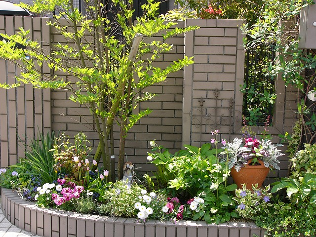 a0123003_0252539.jpg