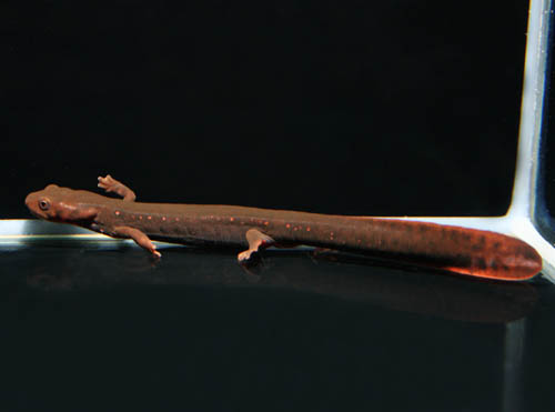 c0165803_21531871.jpg