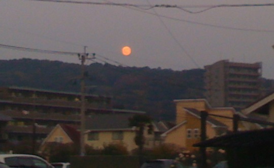 c0052304_7584160.jpg
