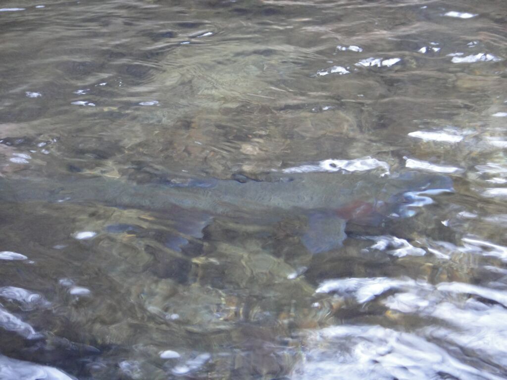 b0172805_9162759.jpg