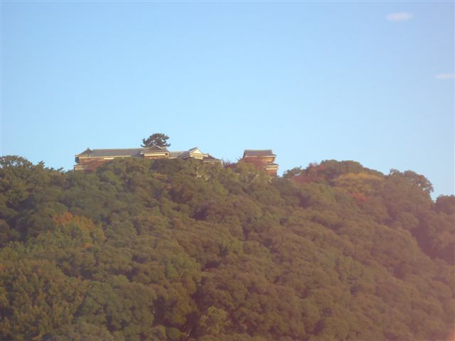 d0027507_10595433.jpg