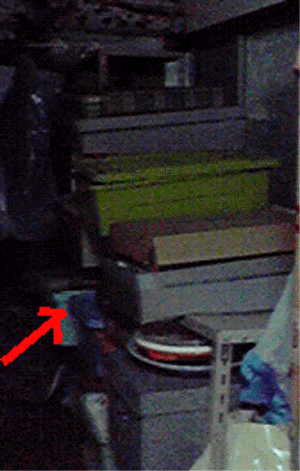 e0103408_1891826.gif