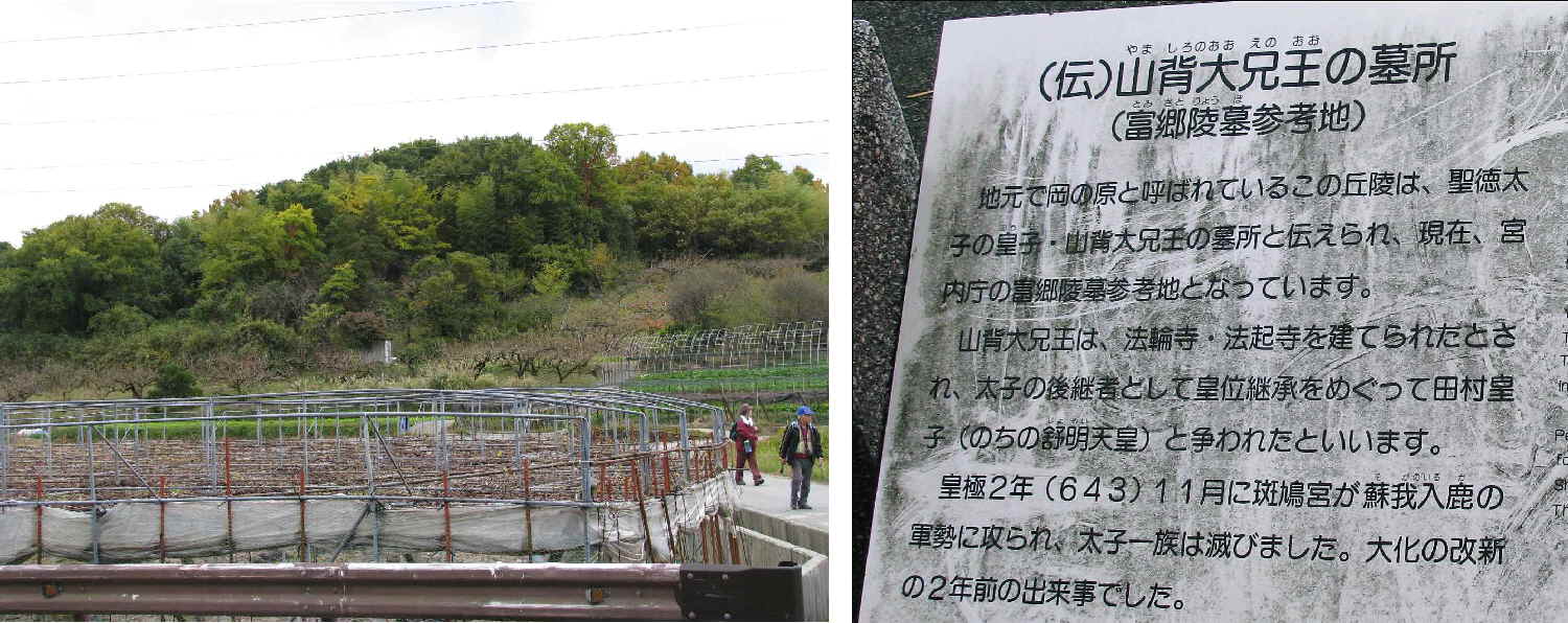 e0080110_22221847.jpg