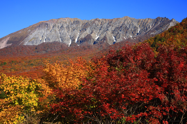 鍵掛峠とブナ林_f0181310_19363062.jpg