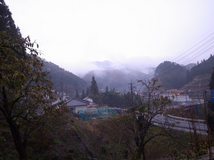 もみじの落葉と霧の山_c0116915_2351276.jpg