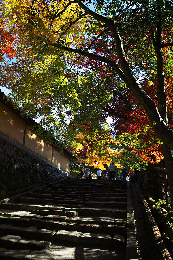 2010紅葉　その3　西明寺（滋賀県犬上郡甲良町）_c0115616_19142947.jpg