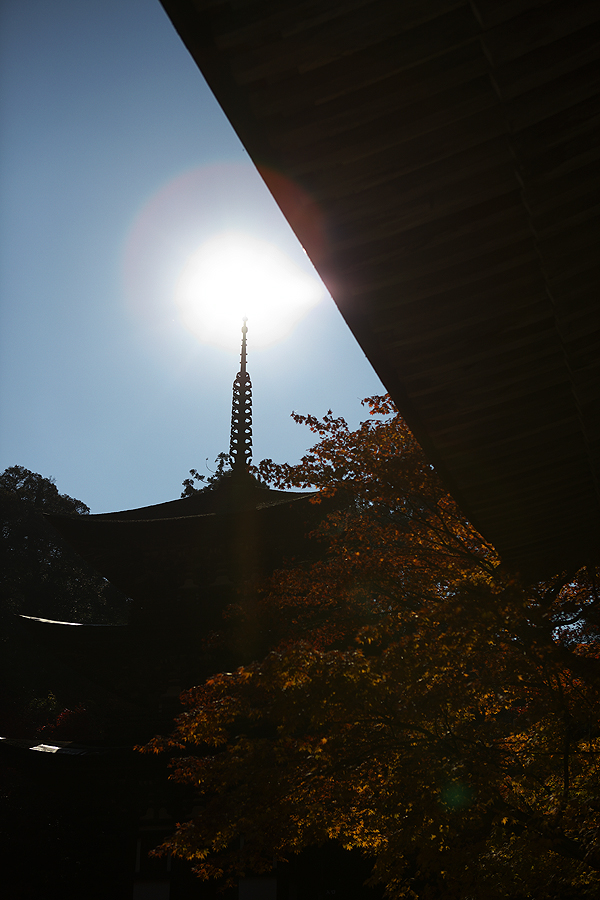 2010紅葉　その3　西明寺（滋賀県犬上郡甲良町）_c0115616_1915760.jpg