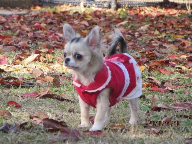 c0200916_26118.jpg