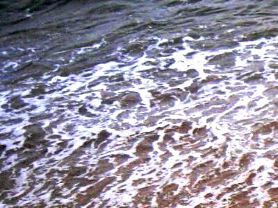 e0010418_18553966.jpg