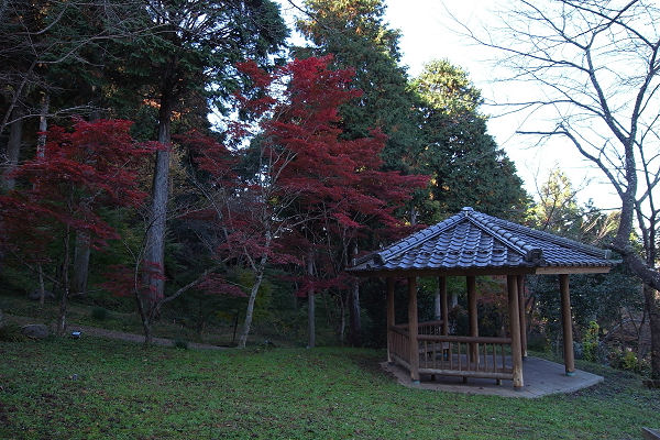 鹿野でそばを食す_f0007926_146782.jpg