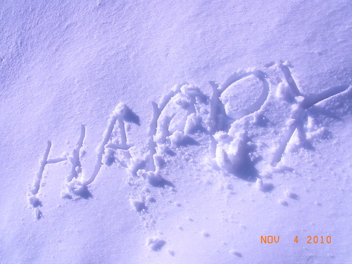c0225927_1505025.jpg