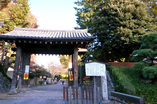d0075828_2265330.jpg