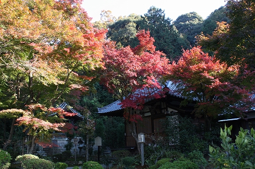 清水寺から鹿王院へ♪　その１_f0054428_23565346.jpg