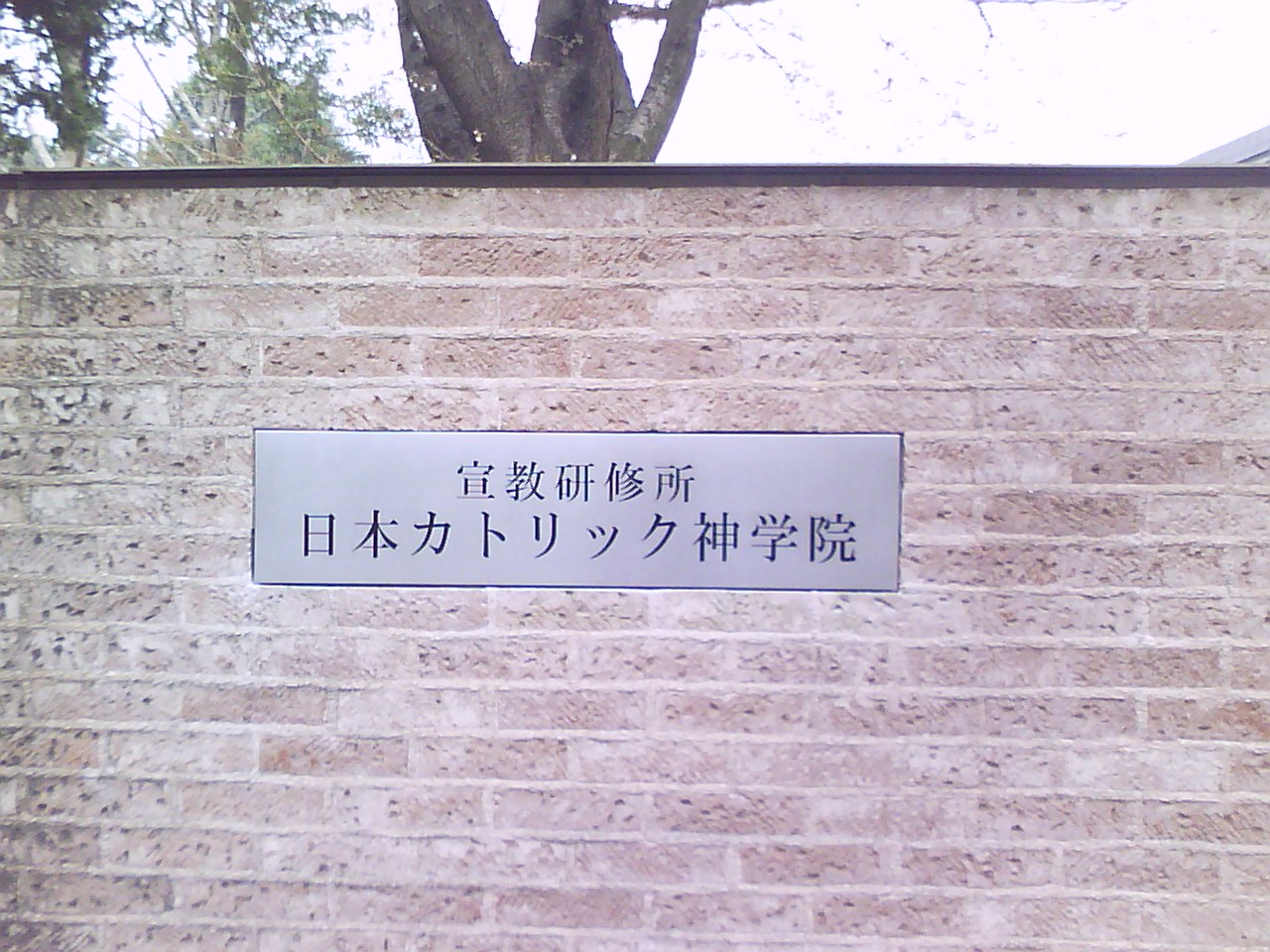 e0031331_9567.jpg