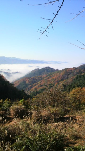 b0207632_2133233.jpg