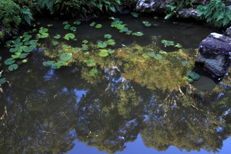 龍潭寺_c0165833_2341894.jpg