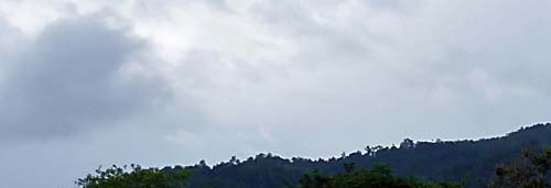 b0063436_1211527.jpg