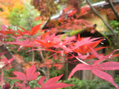 c0077741_02153.jpg
