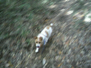 c0077741_06586.jpg