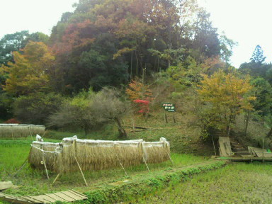 c0077741_14235.jpg