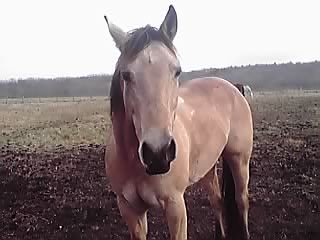 ミッキーは凄い子なんですよ_e0145441_19465258.jpg