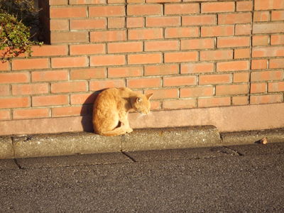 c0201143_185876.jpg