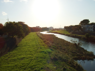 c0201143_1884075.jpg