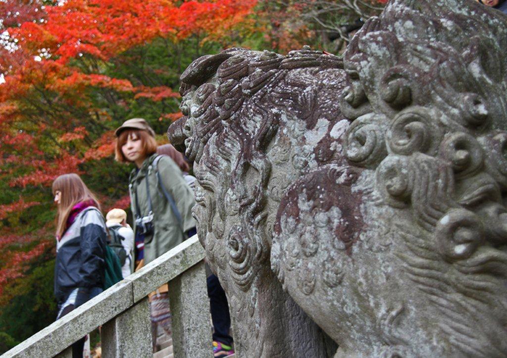 紅葉の高尾山_c0094546_9571327.jpg