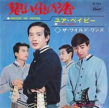 ザ ワイルド ワンズ 全シングル 懐かしいアナログ盤