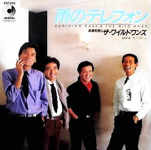 ザ ワイルド ワンズ 全シングル 懐かしいアナログ盤 ザ ワイルド ワンズ 全シングル 懐かしいアナログ盤