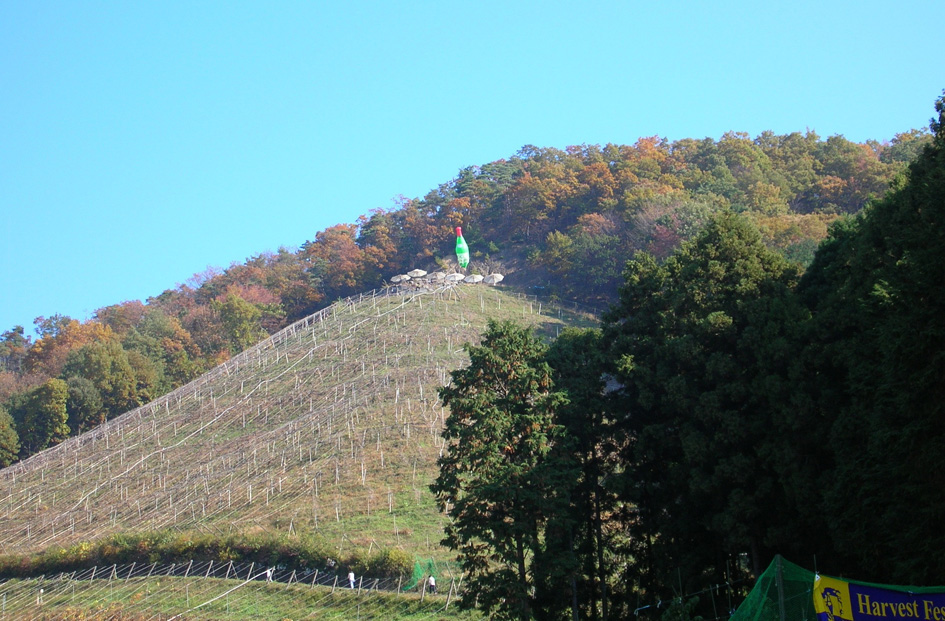 ココ　ファーム　2010収穫祭　足利_e0127948_1403590.jpg