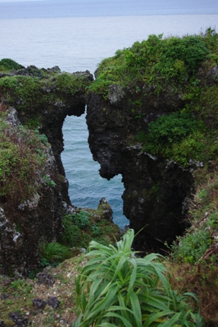 ～　沖縄旅行　その④　～_b0084949_1029846.jpg