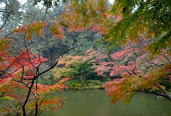 b0025850_23181134.jpg