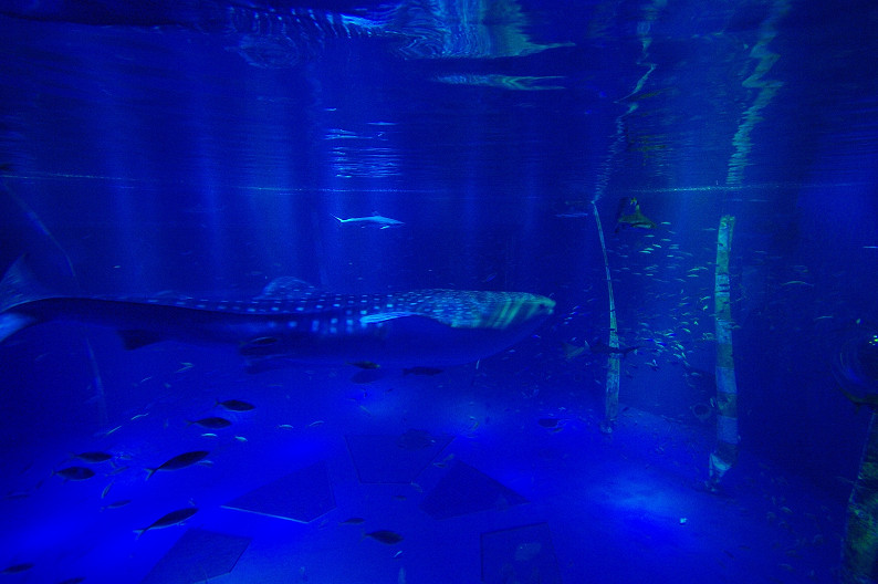 プレ25thの旅... その一_f0152550_22145162.jpg