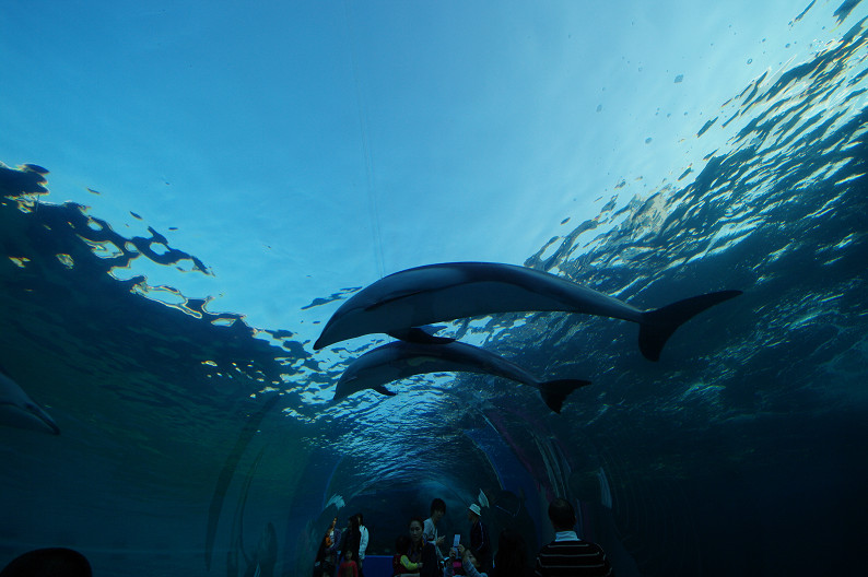 プレ25thの旅... その一_f0152550_2215374.jpg