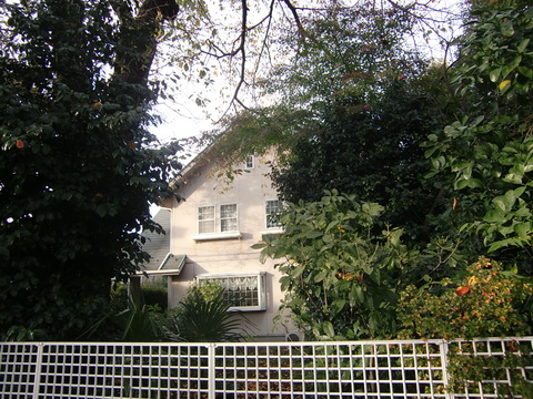 c0206352_1001664.jpg
