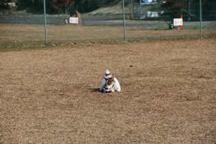 富士山の麓で・・_d0117954_107177.jpg