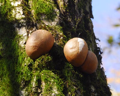 e0035757_18561717.jpg