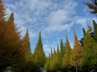 a0165160_71416.jpg