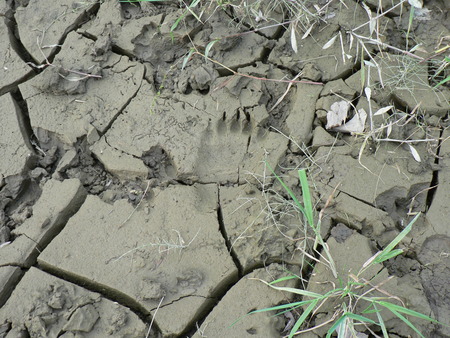 b0209862_16533985.jpg