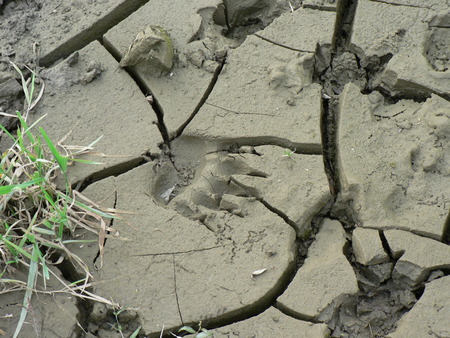b0209862_16542798.jpg